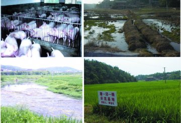 顶天立地集成创新 系统理论服务“三农”