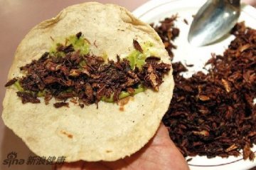 防癌神仙汤引争议 稀奇古怪食物盘点