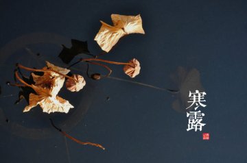 图说二十四节气 美到令人窒息