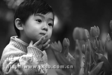 赏花季节留意孩子花粉过敏