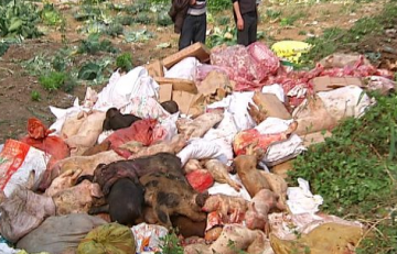 黑作坊回收死猪肉做腊肉 执法人员查获6吨死猪肉