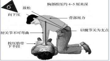 紧急医疗救护常识