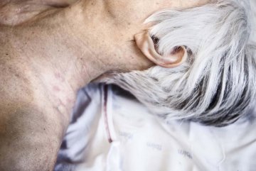 女摄影师照片记录人类死亡历程
