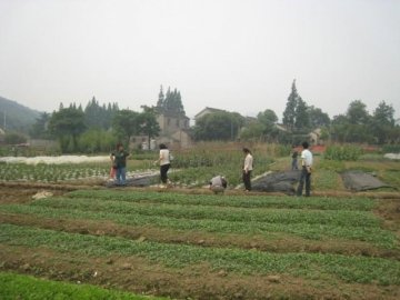 寄生虫病所专家赴苏州高新区横塘镇梅湾村新现螺点