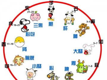 军医详解十二时辰如何养生（三）