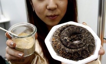 防癌神仙汤引争议 稀奇古怪食物盘点—蛇