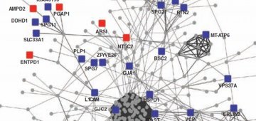 科学家绘制一种遗传病的基因突变图