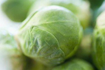 秋季13种超级食物