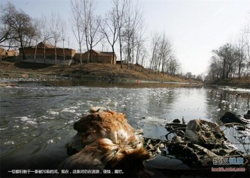 中国“癌症村”地图