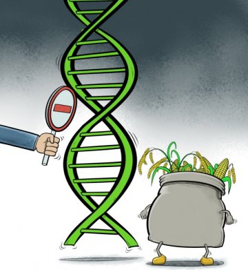 麋鹿并非被灰狼压迫得那么厉害