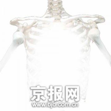 专家：活体摘取器官并不为现行法律所认可