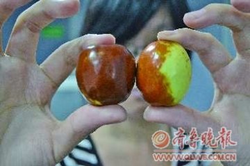 开水糖精泡“美容大红枣” 过量食用或致癌