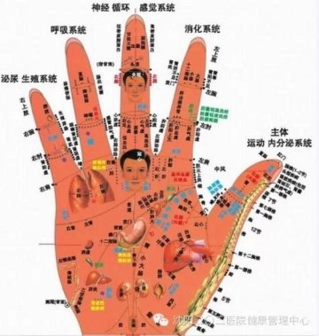 小手藏着大秘密