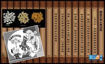 2012健康年鉴：十大值得铭记的健康事