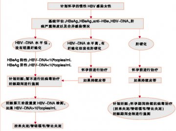 乙肝抗病毒耐药，防为上！