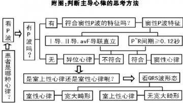 看P波，确认主导心律