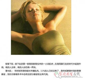 锁骨下肌和掌长肌