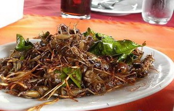 盘点：世界各地的“非主流”食物