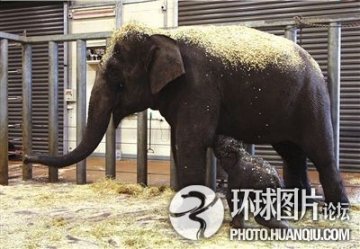 不可思议的死而复生事件