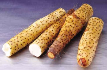 6道神奇的“抗感冒菜”