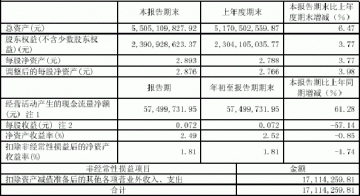上海复星医药（集团）股份有限公司2005第一季度报告（节录）