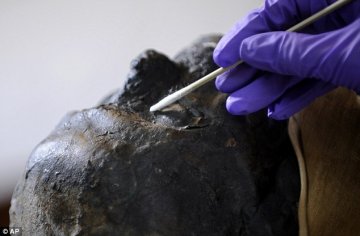 美国麻省总医院开棺清理埃及2500年木乃伊