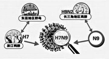 气温升高导致病毒变异？