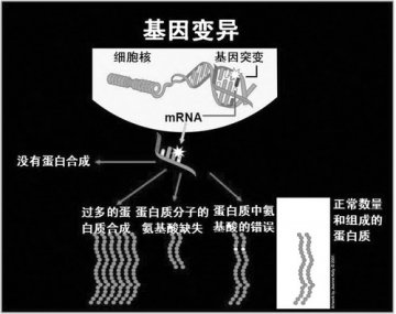 基因视角下的疾病研究