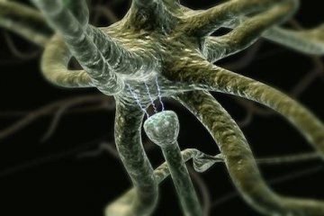 医学3D透视下的人体奇观