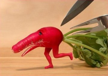 这三种蔬菜不买为妙