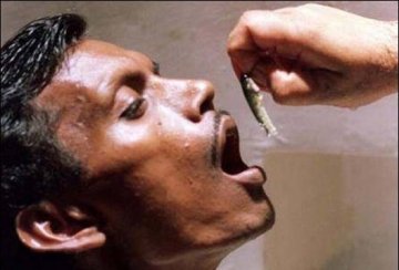 印度的小鱼疗法