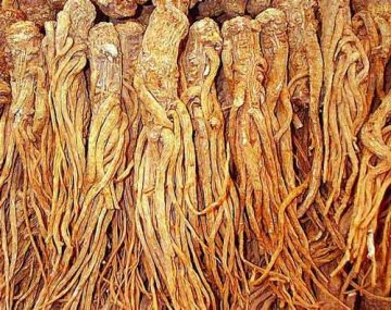 让你“返老还童”的十大中药