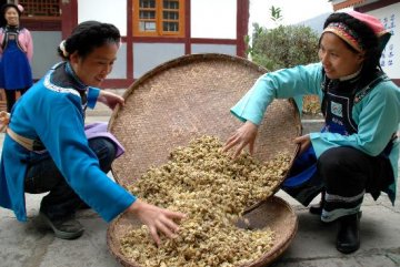 贵州中药产业今年销售收入有望突破百亿元