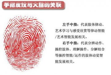 图说：从指纹看你的身体健康和性格