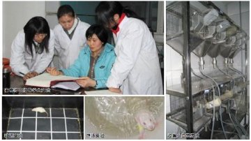 抑郁症，伤不起