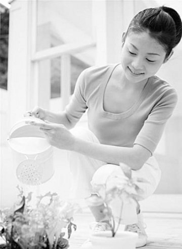 常喝枸杞茶可消除疲劳防止动脉硬化