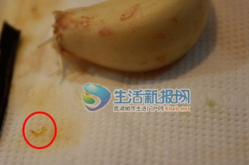 女子在米线中吃出两条虫子 店主称是蒜瓣根