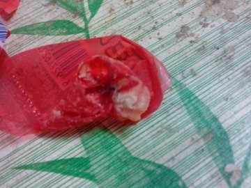 金锣火腿肠深圳曝吃出活蛆 已不止一次曝