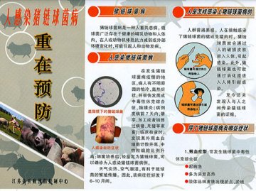 预防人感染猪链球菌病宣传折页（江苏省疾控中心）