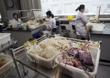 揭秘：走进人类血液仓库
