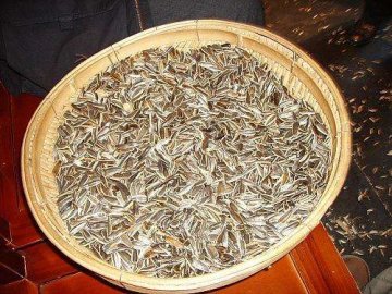 12种食物会损智商