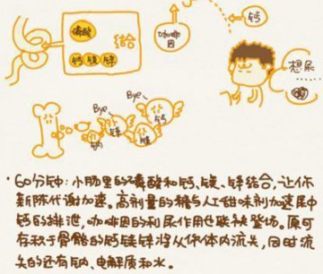 图解：喝一罐可乐后一小时内身体有啥反应