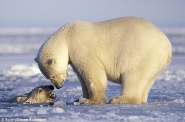 法国60余位科学家发表联名信呼吁保护生物多样性