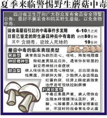 专家提醒：“美食杀手”野生蘑暗藏毒素谨食