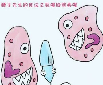 医学趣读：“精子先生”的15种悲催死法