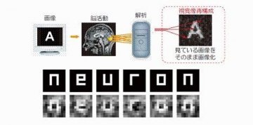 日本专家迈出“捕捉人类梦境”路上第一步