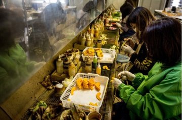 探访日本的食物模型工厂 仿真度极高