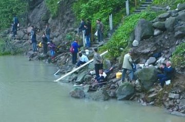 重庆放生1700斤鲫鱼引来居民大捕捞