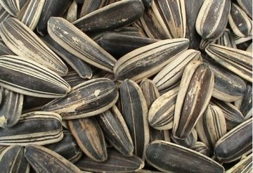 揭6种毁人不倦的食物