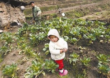 两成农村儿童发育不良 营养不良笼罩留守童年